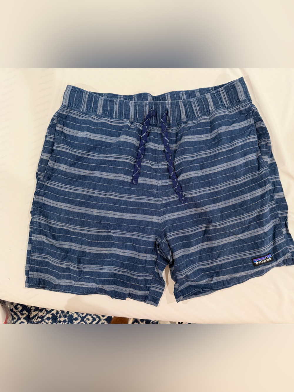 Patagonia Blue & Light Blue Striped Men's Drawstring Shorts